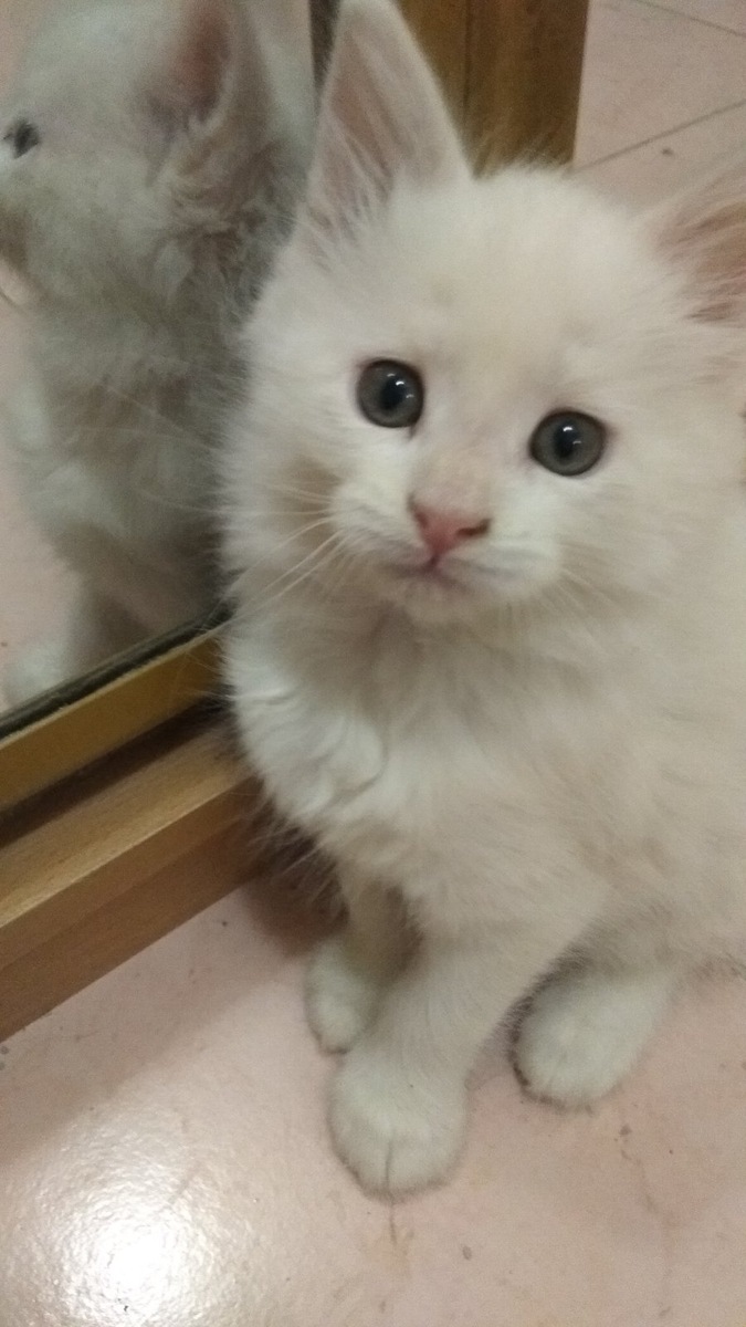 Степан родился 24.11.2023г.