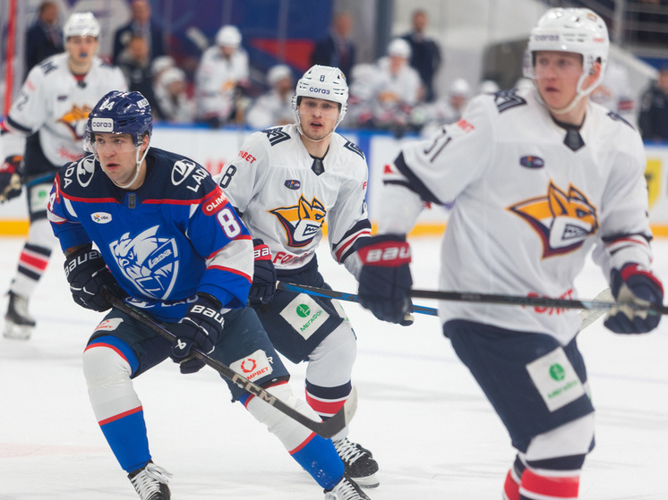     Фото: Андрей Холмов/ХК «Лада»