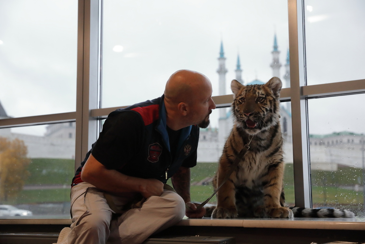 Тигренок Бом, Артур Багдасаров, фото Казанский цирк