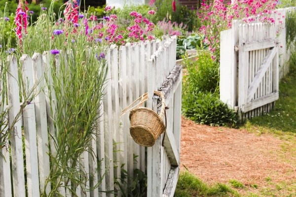 Источник фото shutterstock.com