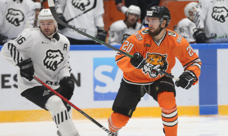 чемпионат.ком