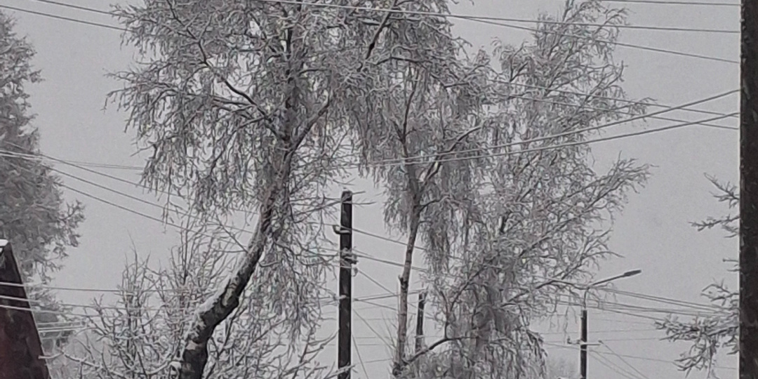 15.11.2025 Настроение суббота И немного пятницы. Вw. Авито