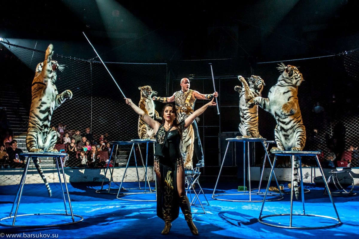 Артур и Карина Багдасаровы, фото https://vk.com/club11633802