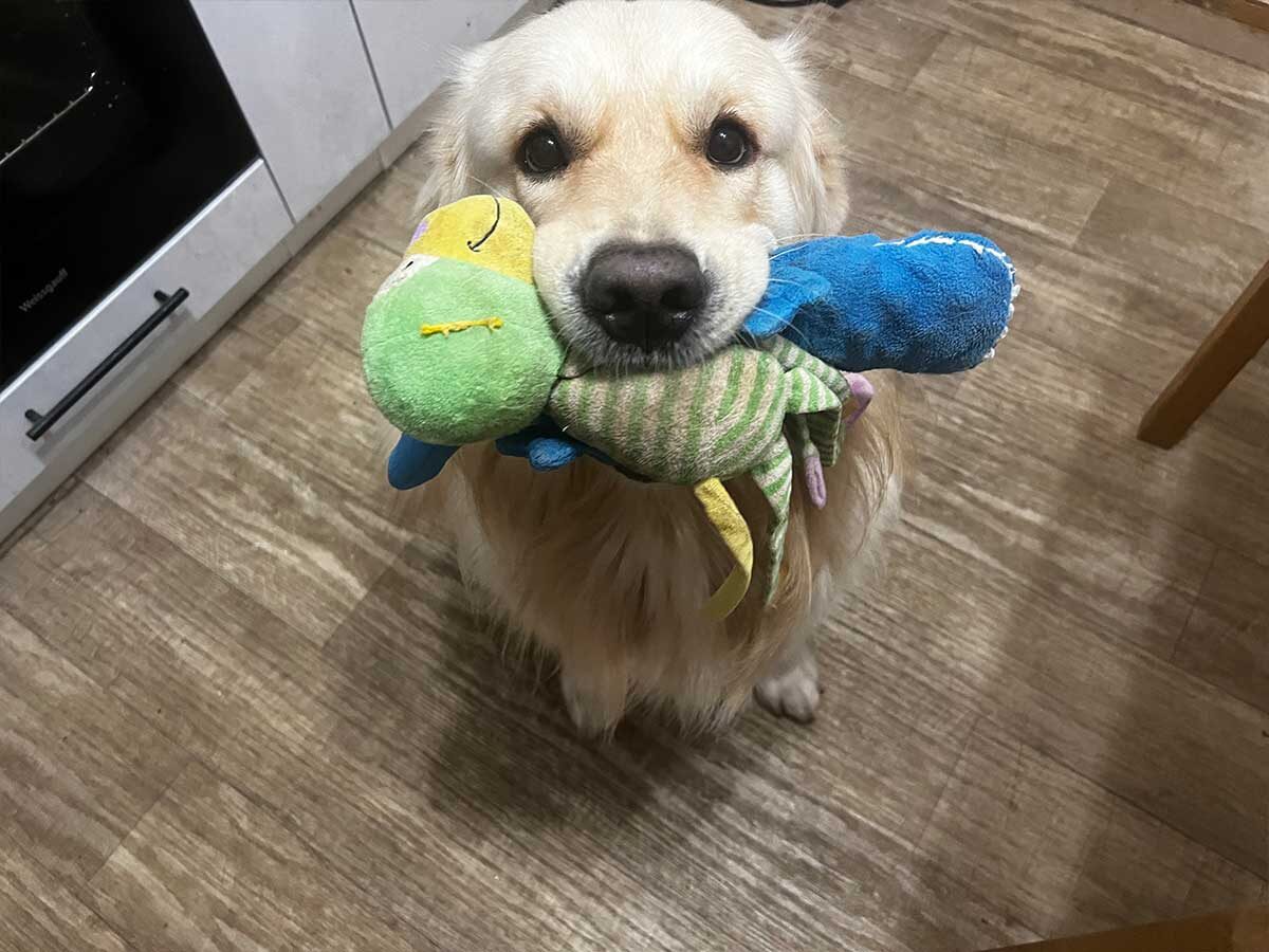 Барни и его игрушки