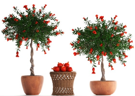 Источник фото shutterstock.com