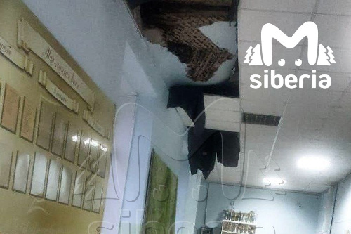    Фото: Mash Siberia