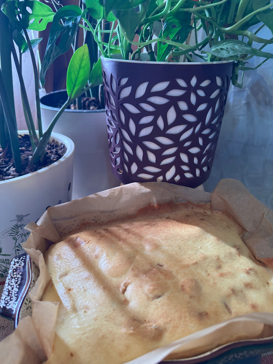 Фото автора. Ноябрь 2025 год.