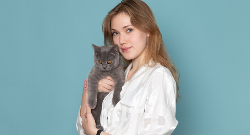 Как кошка с собакой