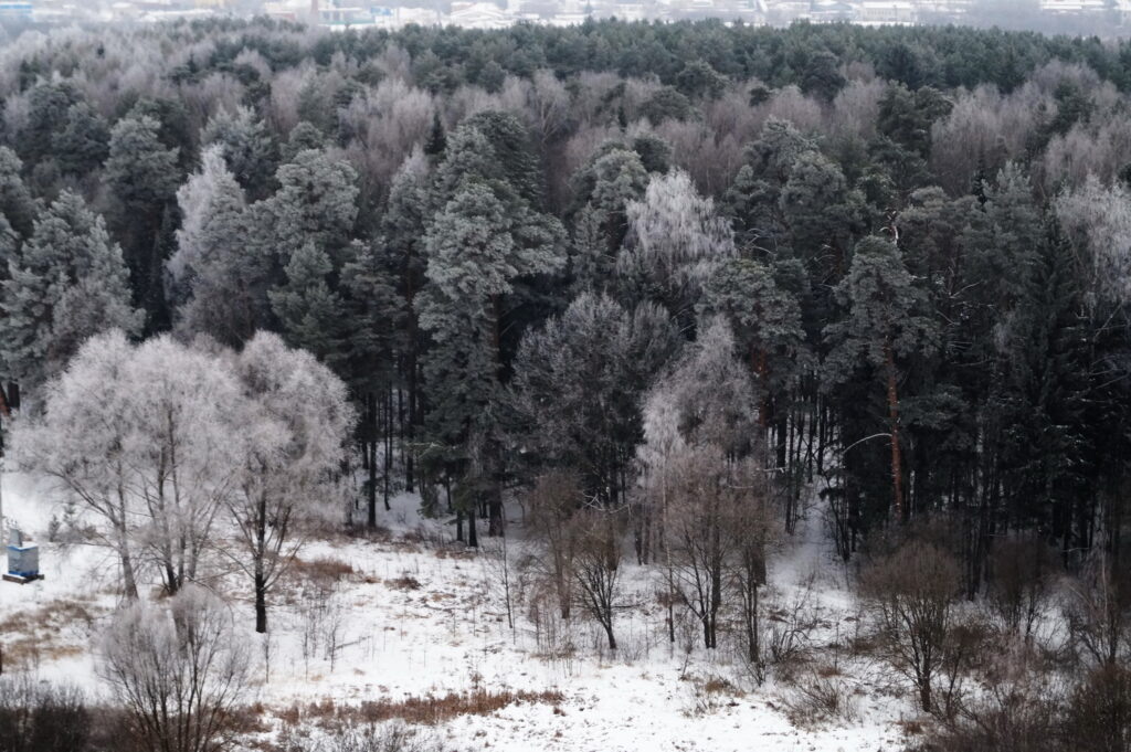   Анастасия Петрова