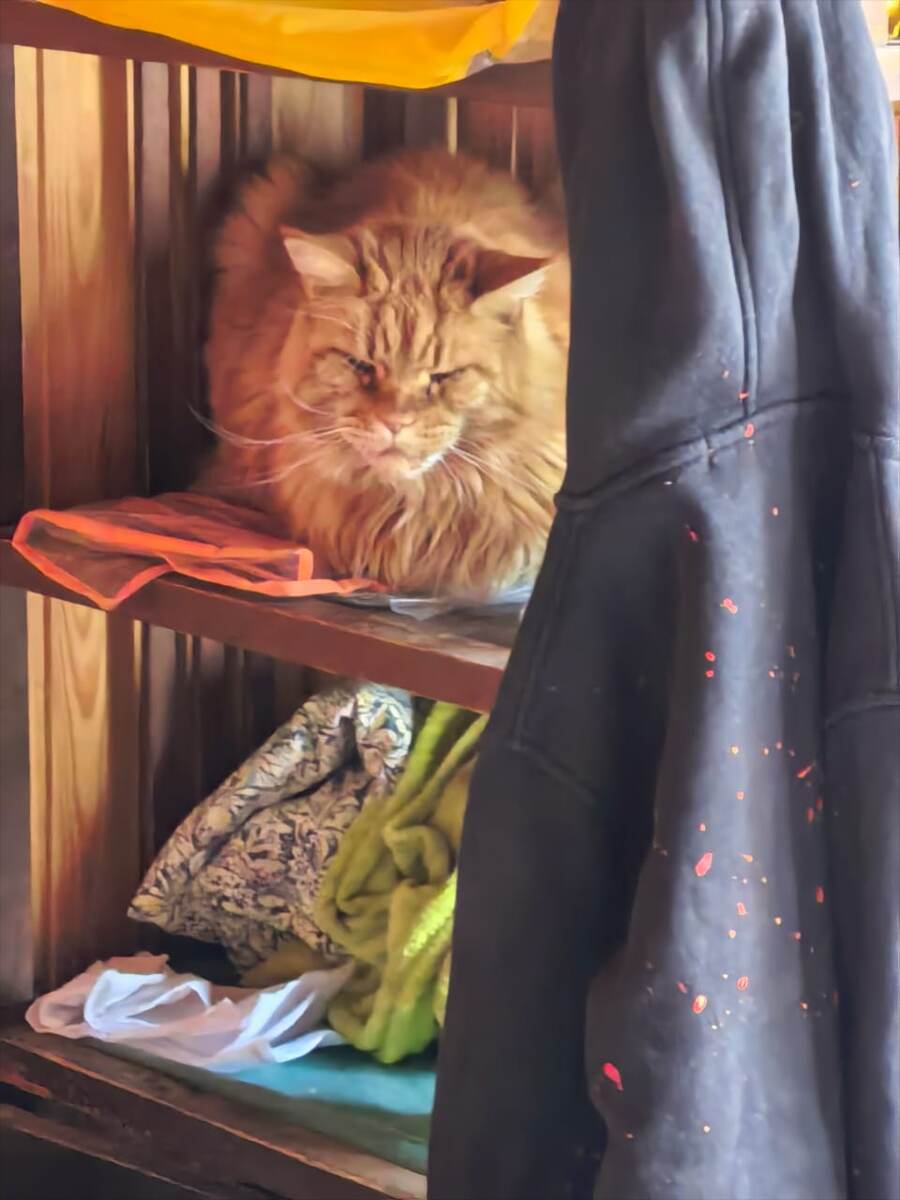 Искали час, а она сидит и удивляется - что нам надо то?!