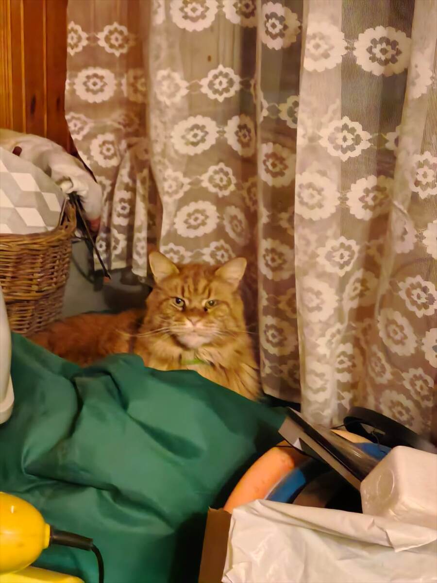 Тоже долго искали...