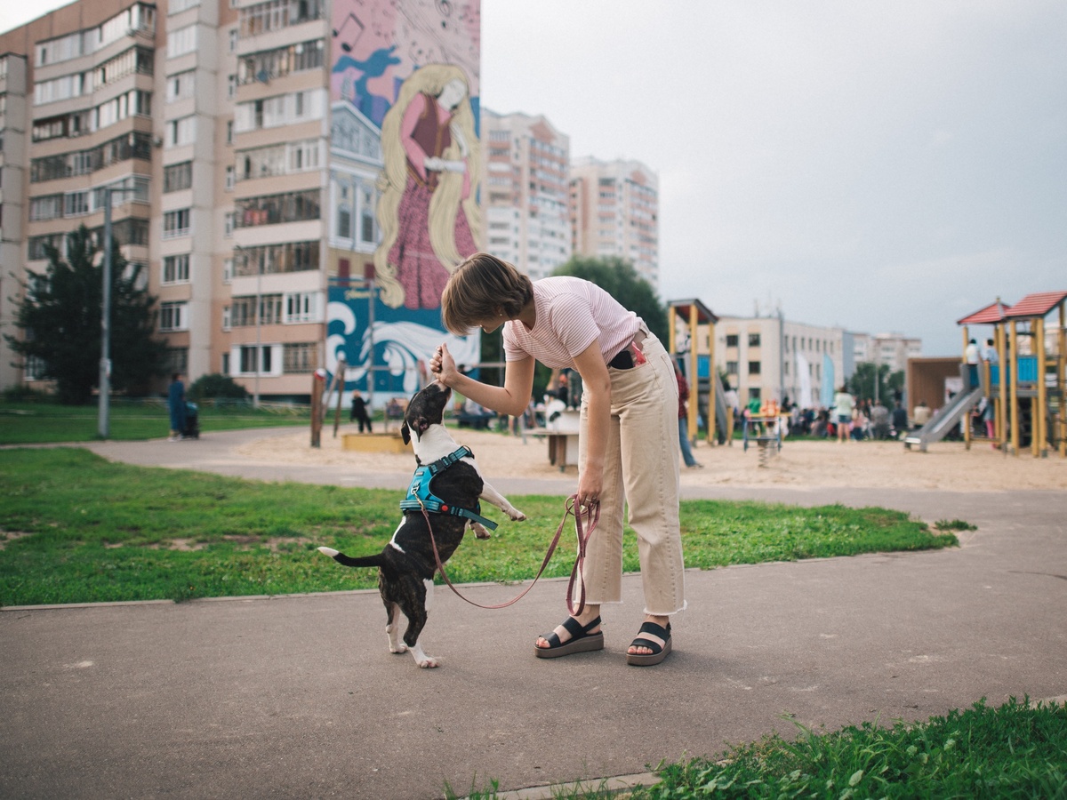 Источник: Институт развития городов РТ
