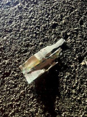    Фото: телеграм-канал ГСУ СК России по Московской области