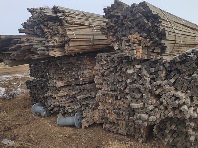    Фото: телеграм-канал "Ирина Волк"