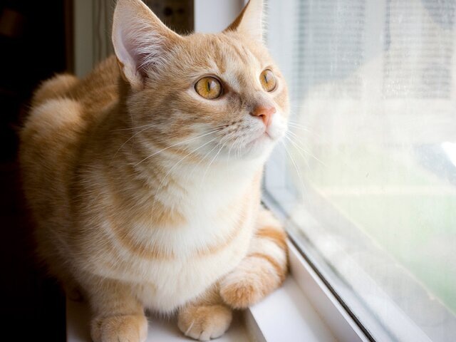    Фото: 123RF.com/maxym