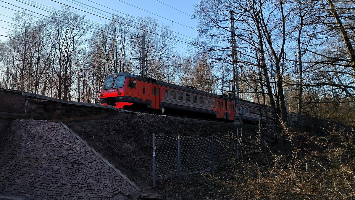    Фото: Maksim Konstantinov/globallookpress.com