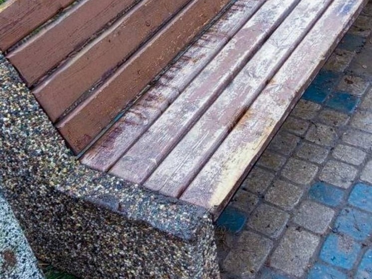     Фото: телеграм-канал Город Курск