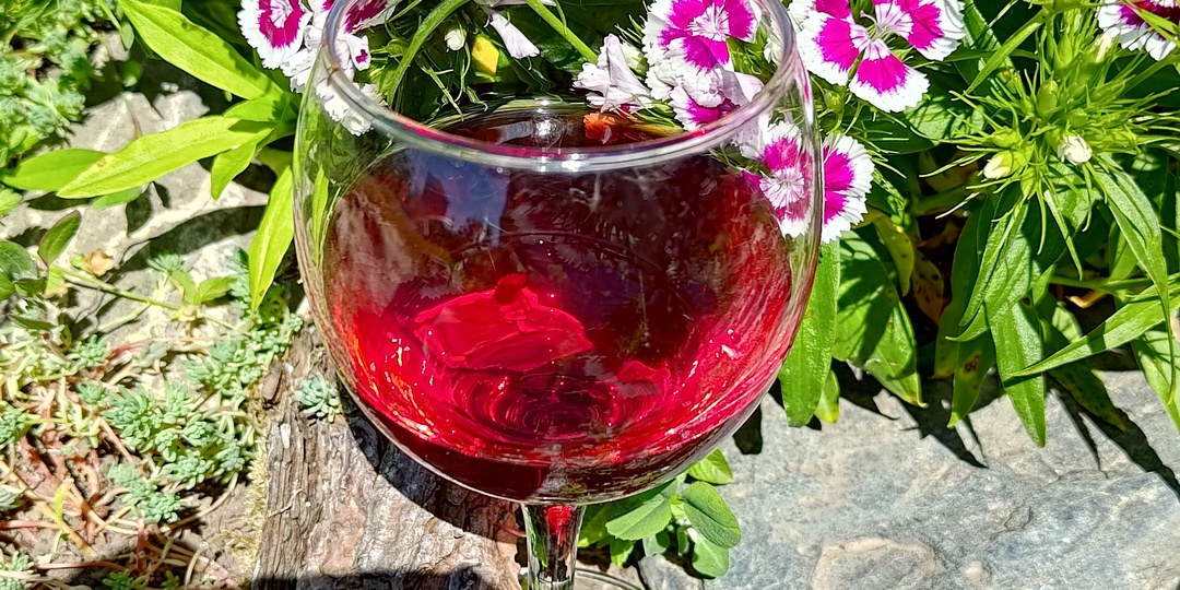 Виноград Изабелла - вино. Продолжение.