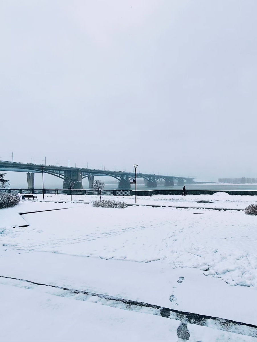 Коммунальный мост через Обь. В 1955 году введён в эксплуатацию. Стал первым автомобильно-трамвайно-пешеходным мостом, соеденившим правый и левый берега Новосибирска.