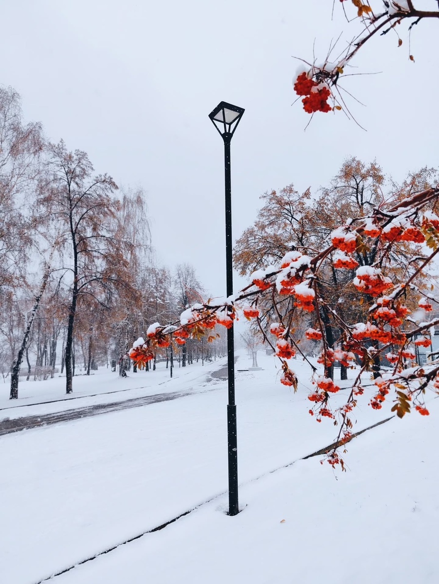 Парк на Михайловской набережной.