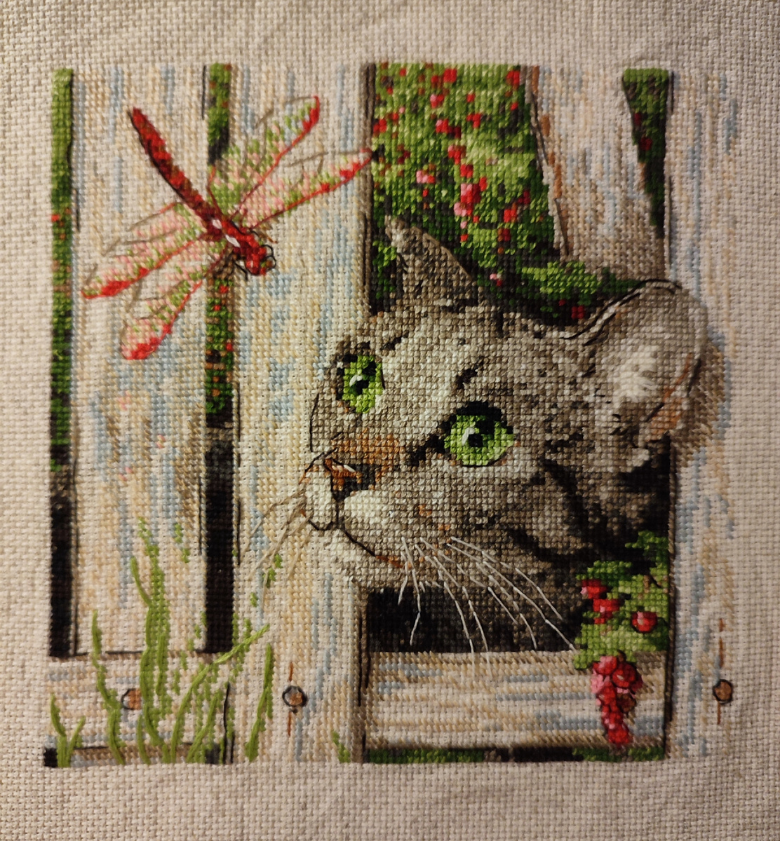 Мой кот, к нему уже едет  рамочка. 