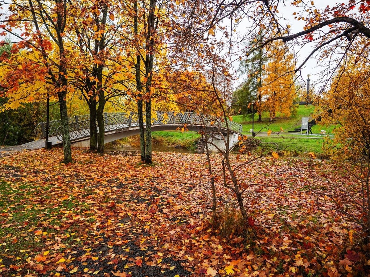    фото: © Столица на Онего