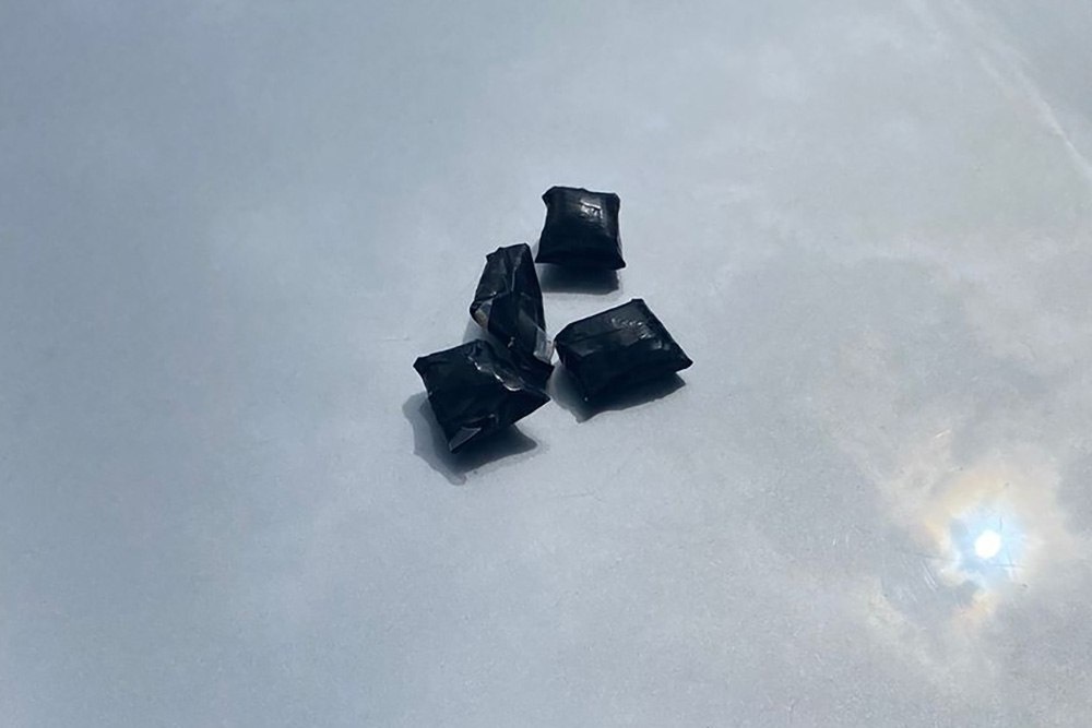    Фото: Telegram/Росгвардия Краснодарский край