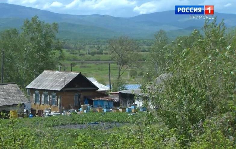    Источник фото: