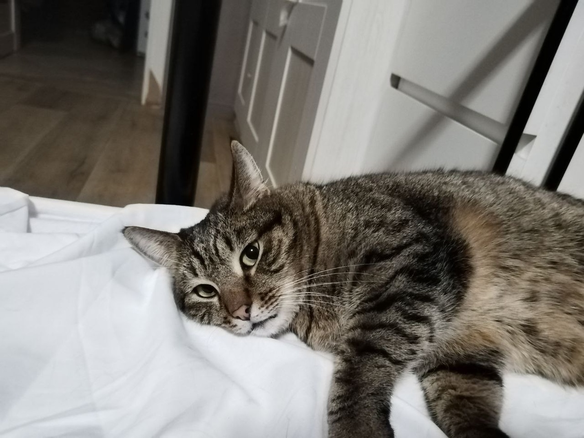 Ну давайте еще раз повздыхаем у себя на канале про меня