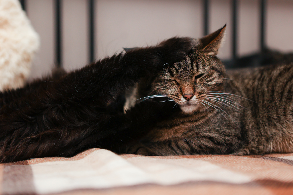 Иногда они все меня беся, но я молчу...