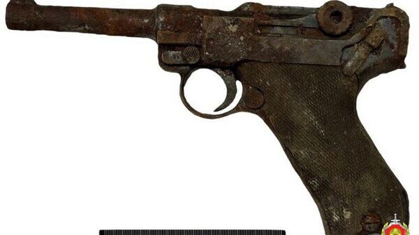    © Photo : Telegram / Государственный комитет судебных экспертиз