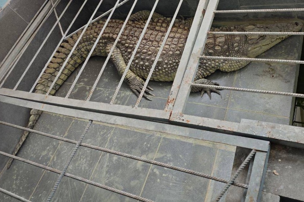    Фото © Telegram / 112