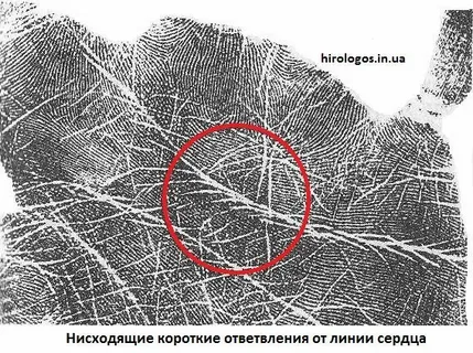 Ответвления с линии сердца . hirologos.com