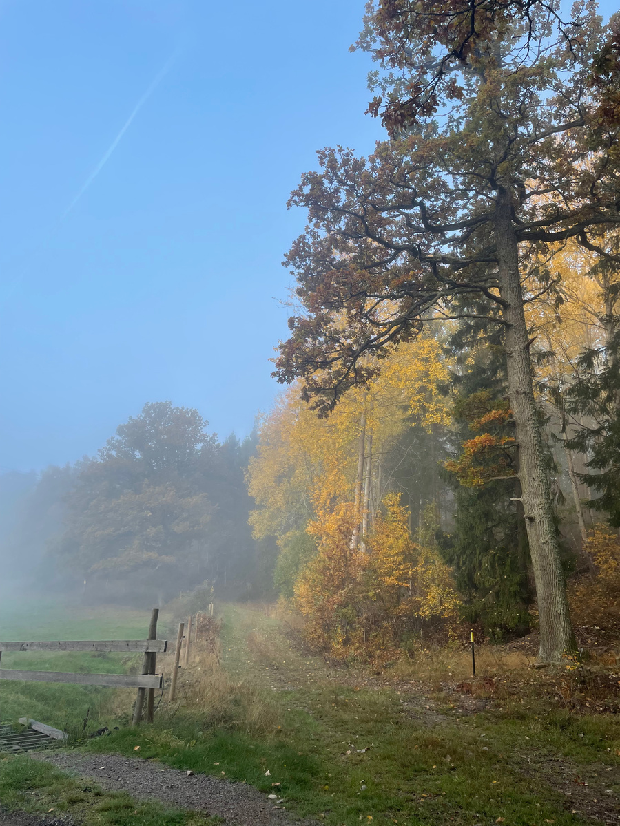 Фото из личного  архива 