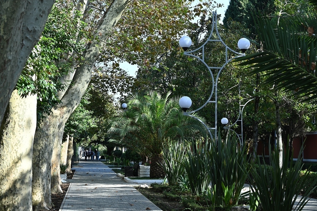    Фото: пресс-служба администрации города Сочи