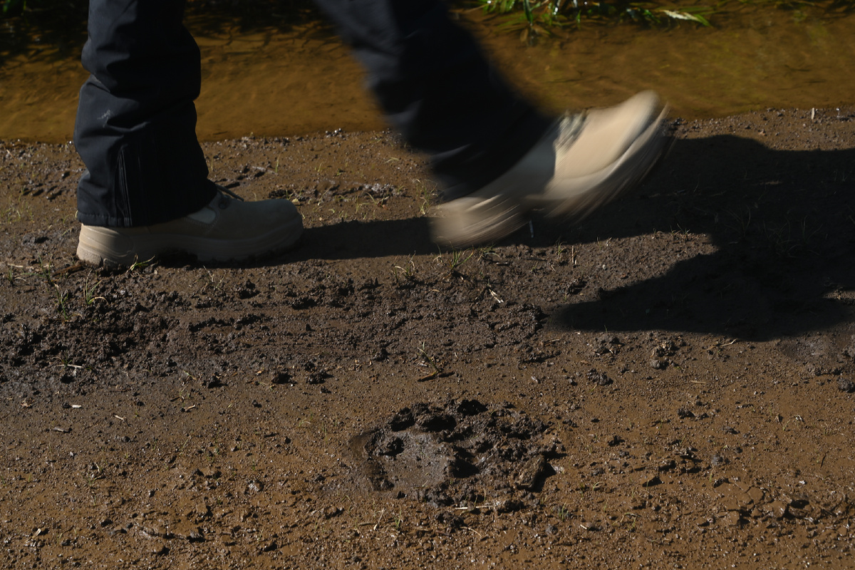 Фото: Владимир Веленгурин