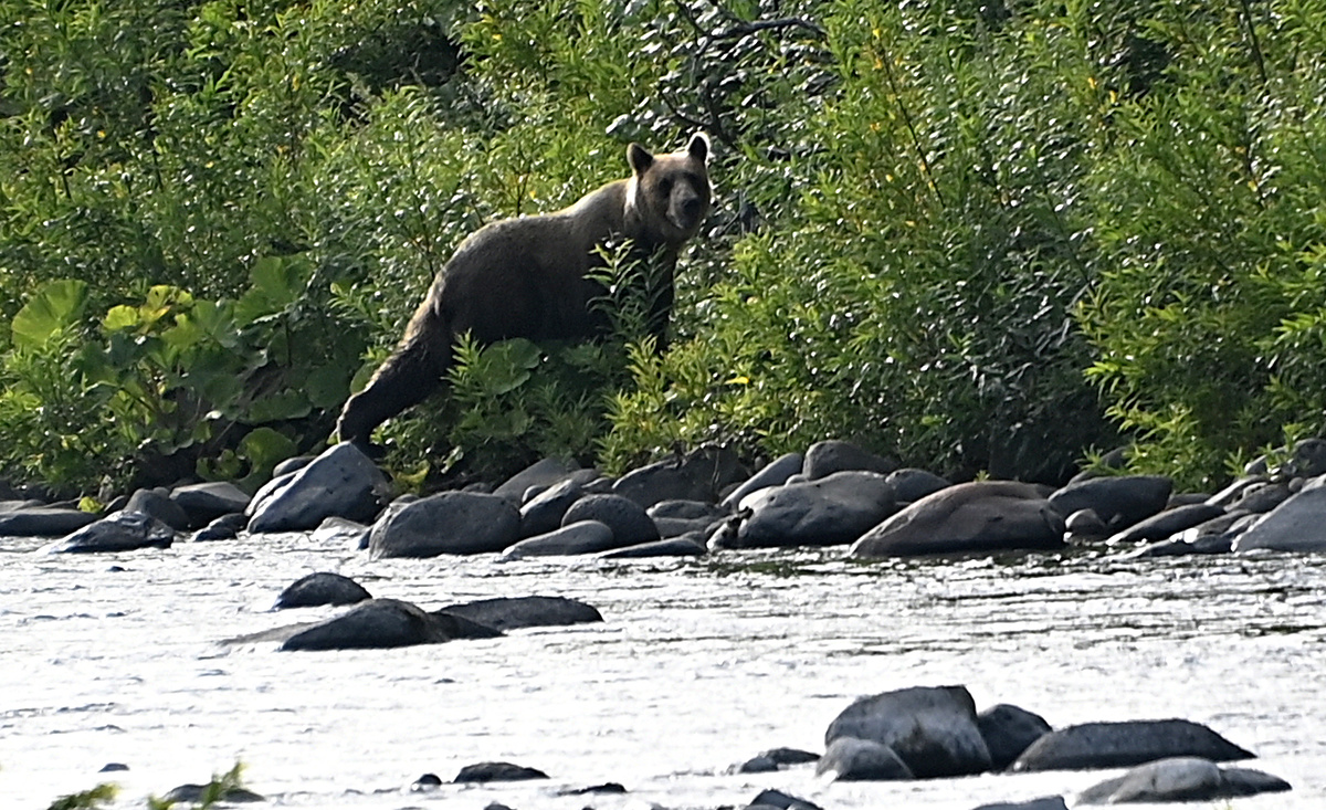 Времени на раздумья не было. Фото: Владимир Веленгурин