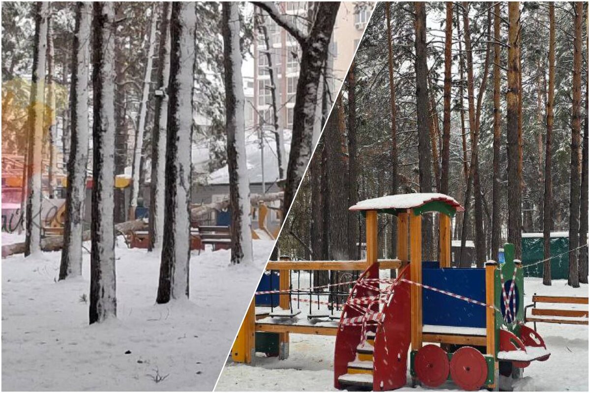    Фото: ТГ-канал "Моя Первомайка"