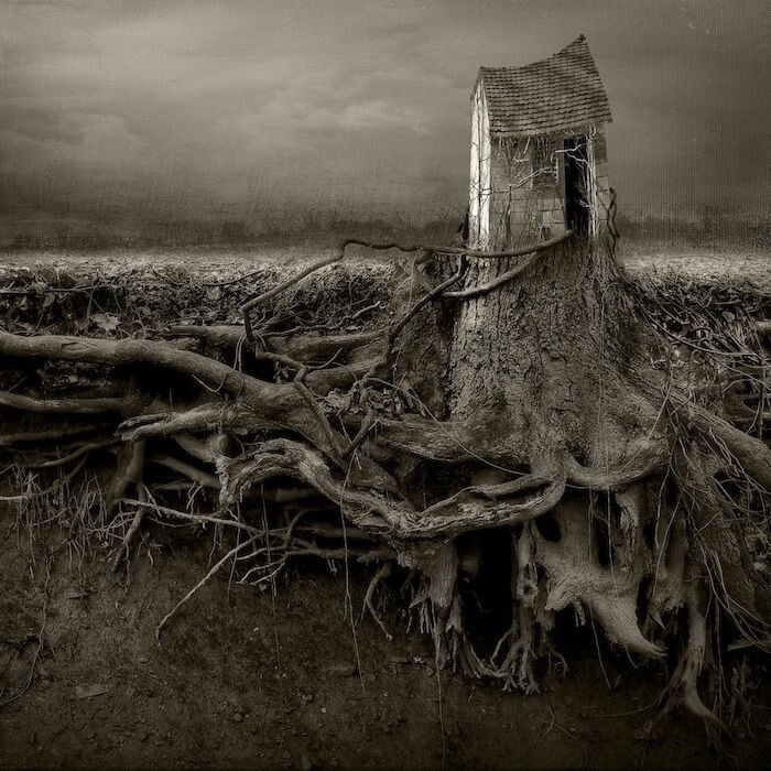 Мерзость запустения (Открытые источники)