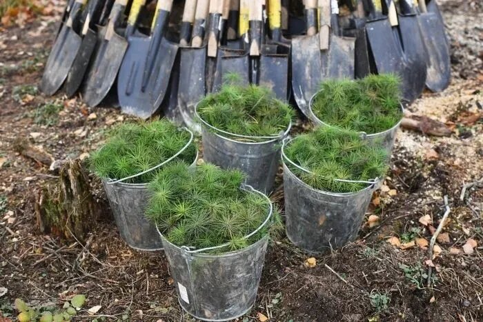     © РИА Новости. Михаил Воскресенский