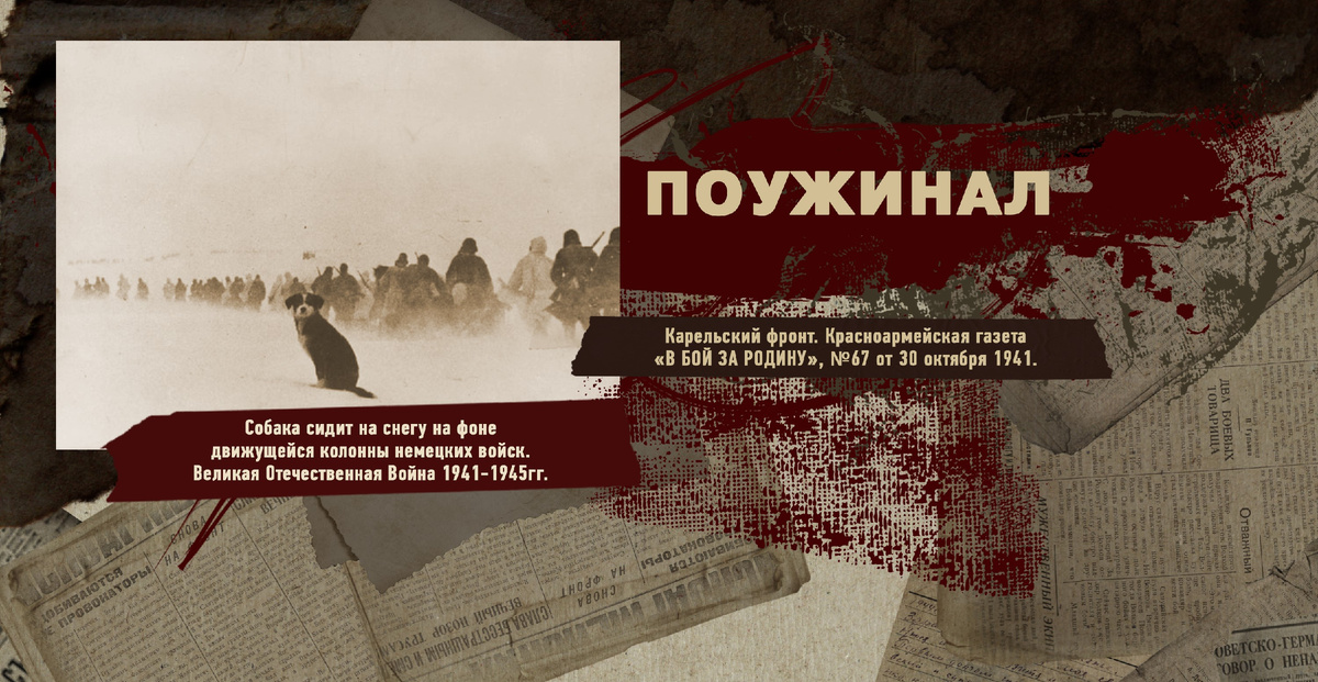 Великая Отечественная Война 1941-1945, Карельский фронт, Строки фронтовые, РУДН ПОИСК