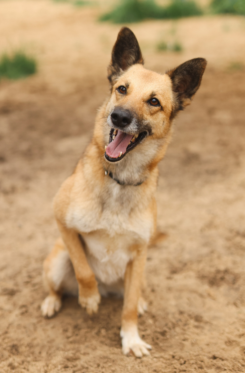 Триша пахнет благовониями