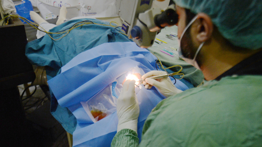    Фото: www.globallookpress.com/Ahmad Kamal