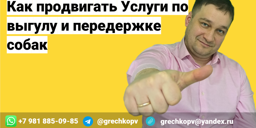 Как продвигать Услуги по выгулу и передержке собак
