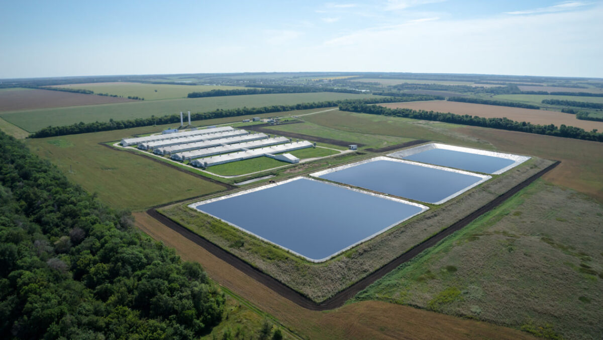 Лагуны компании лМираторг»