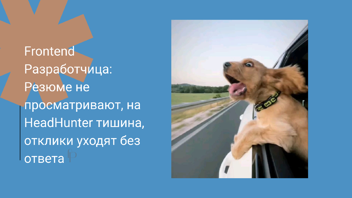 Как прекрасна эта собака показывает эмоции поиска работы в 2025 году.