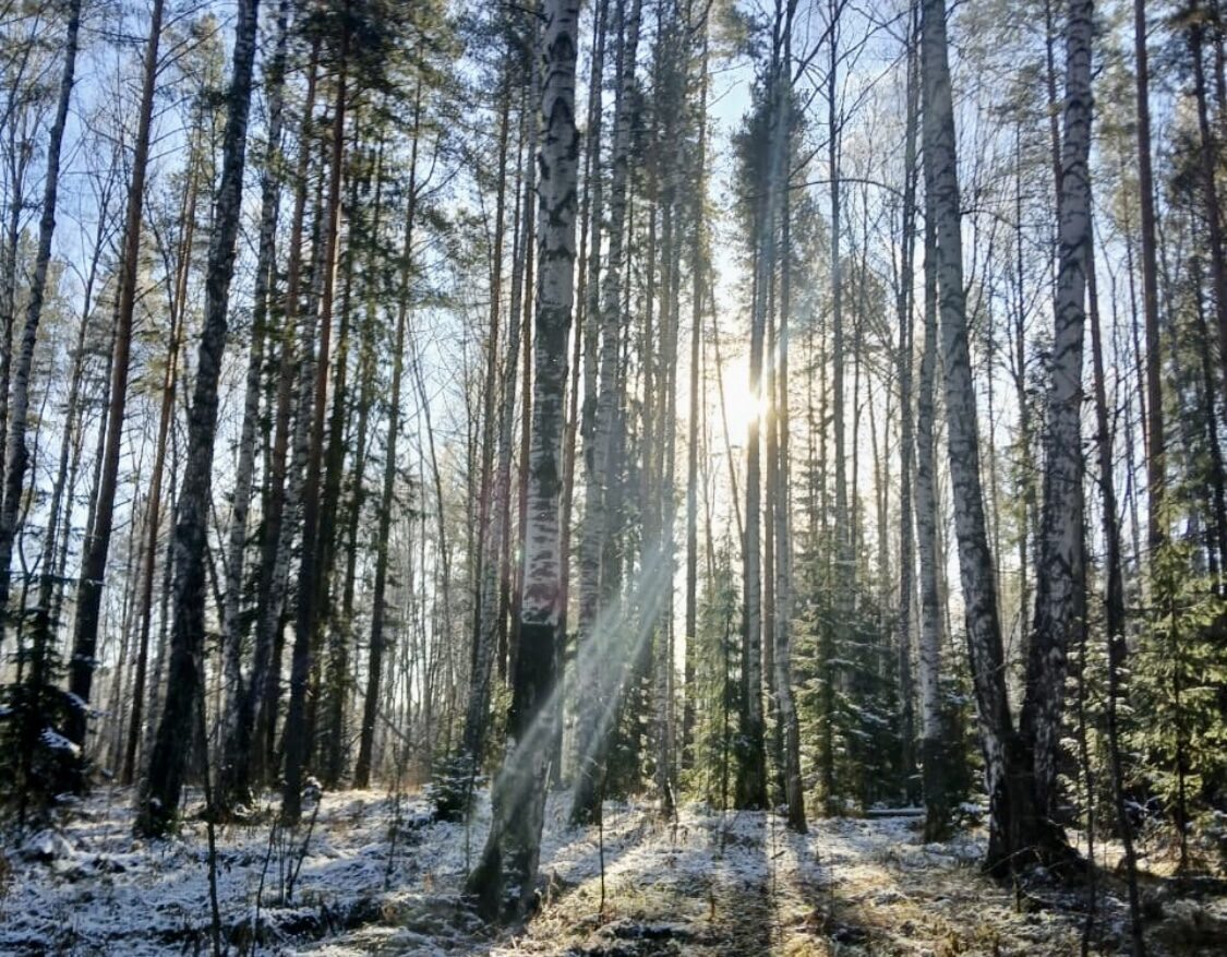 А у нас уже зима. А у вас?