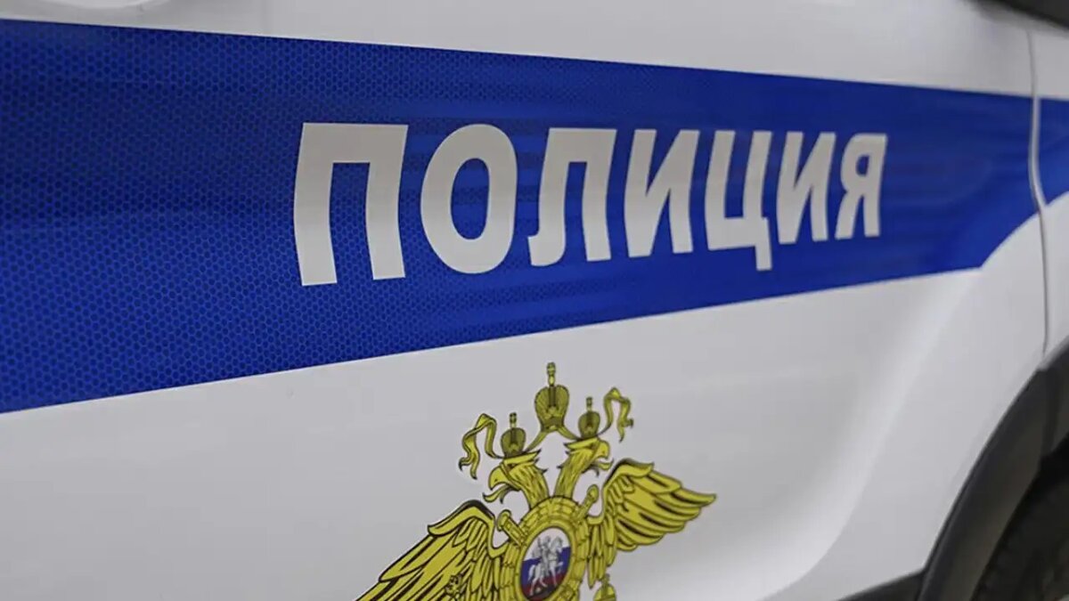    Полиция. © Портал «МВД Медиа»