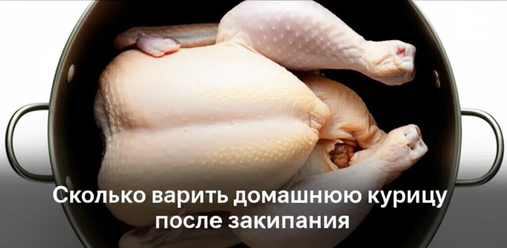   Сколько варить домашнюю курицу после закипания Евгения Супова