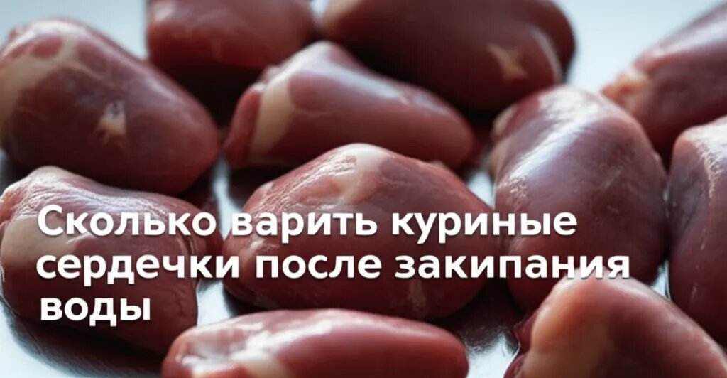    Сколько варить куриные сердечки после закипания воды Евгения Супова